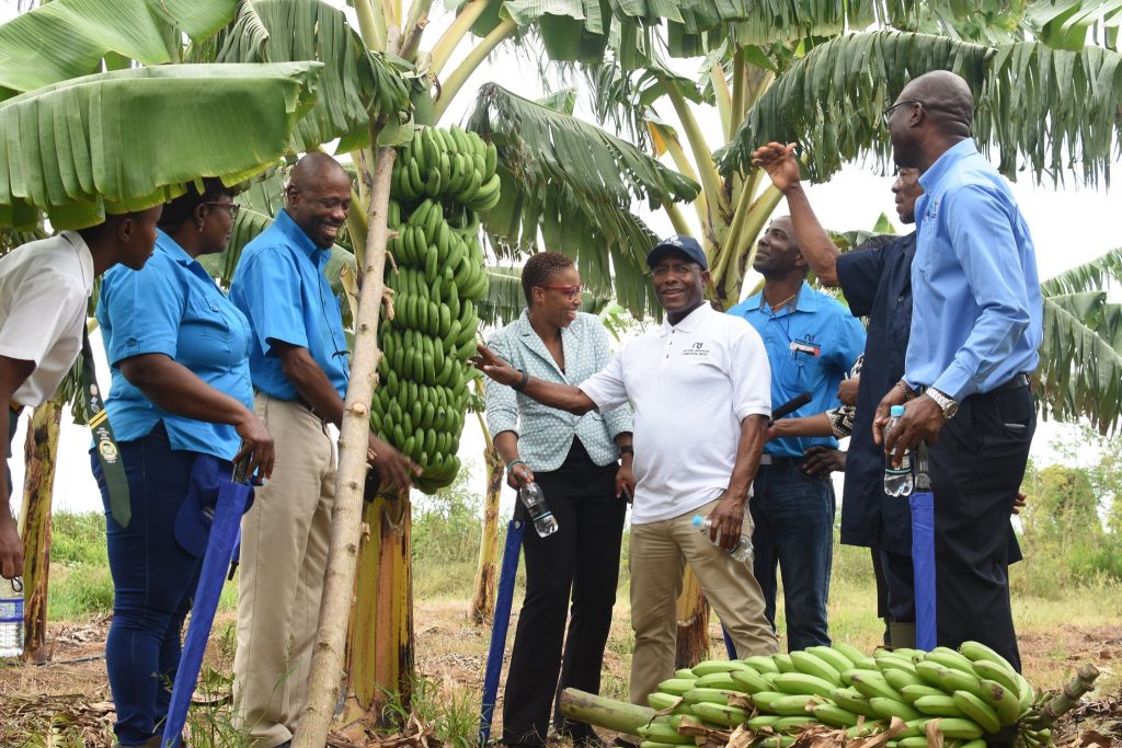 Ebony Park HEART Academy gets help from the NIC National Irrigation