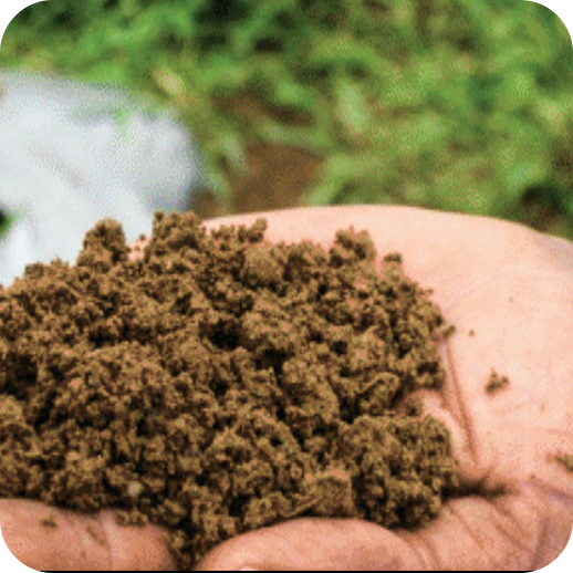 WATER USE EFFICIENCY