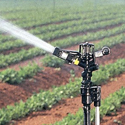 TYPES OF IRRIGATION