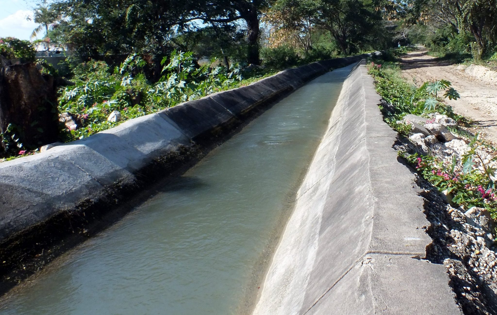 Rehabilitated section of repaired Old Harbour Branch Canal (3)