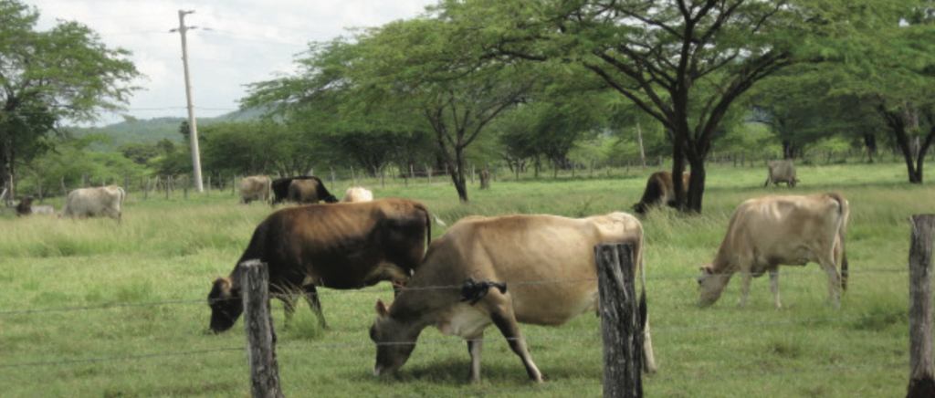 Screenshot-2019-06-10-at-11.02.54-PM-1024x436